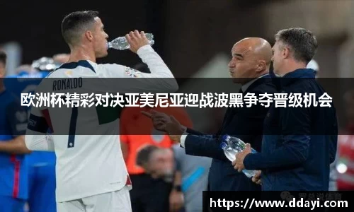 欧洲杯精彩对决亚美尼亚迎战波黑争夺晋级机会